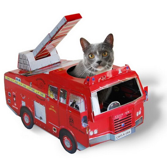 кот пожарник