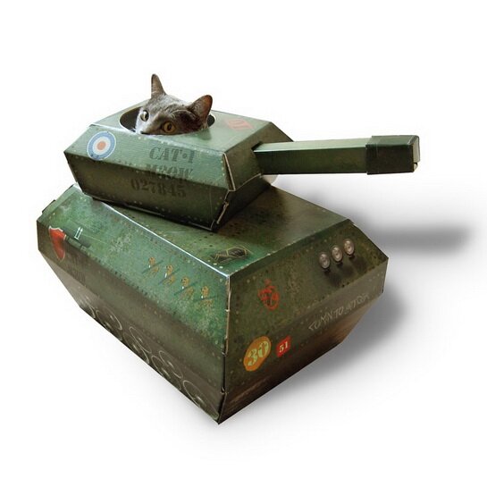 кот в танке