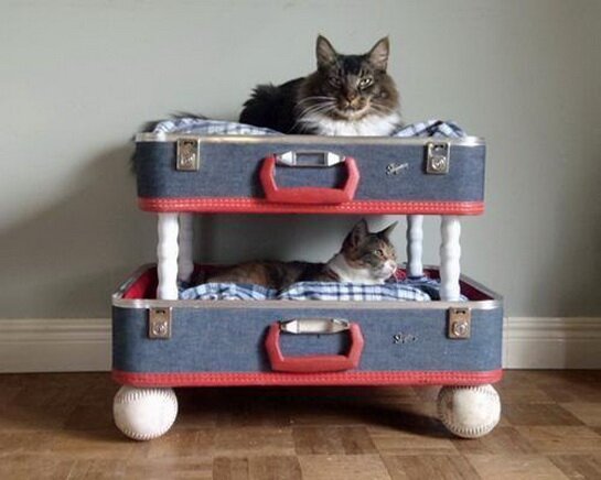 кошачья лежанка из чемодана