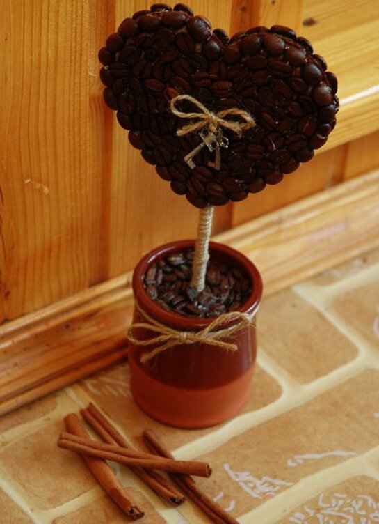 кофейное дерево сердце