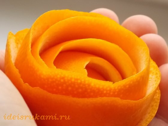 Апельсиновые розы 6